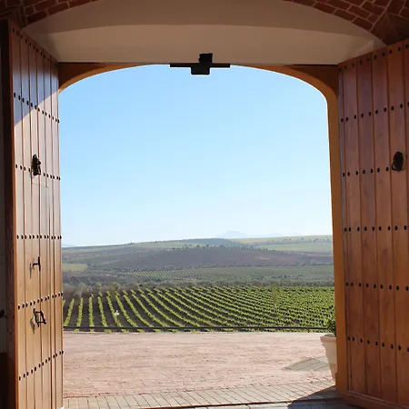 Bodega El Moral Ribera del Fresno