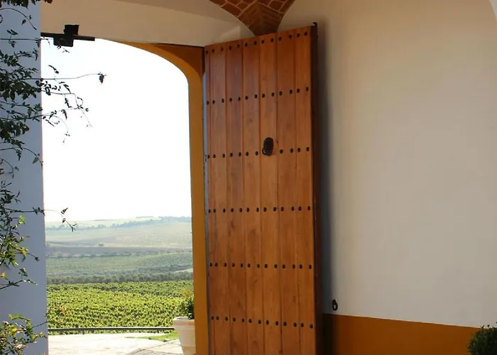 Bodega El Moral Ribera del Fresno