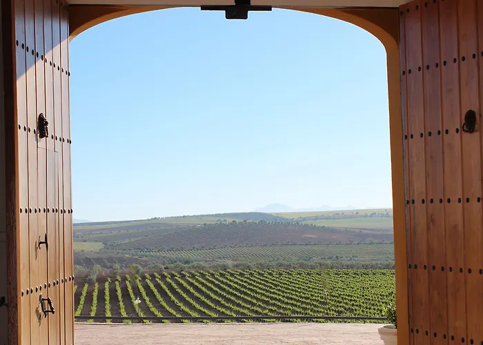 Bodega El Moral Ribera del Fresno