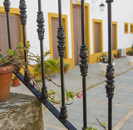 Bodega El Moral Ribera del Fresno